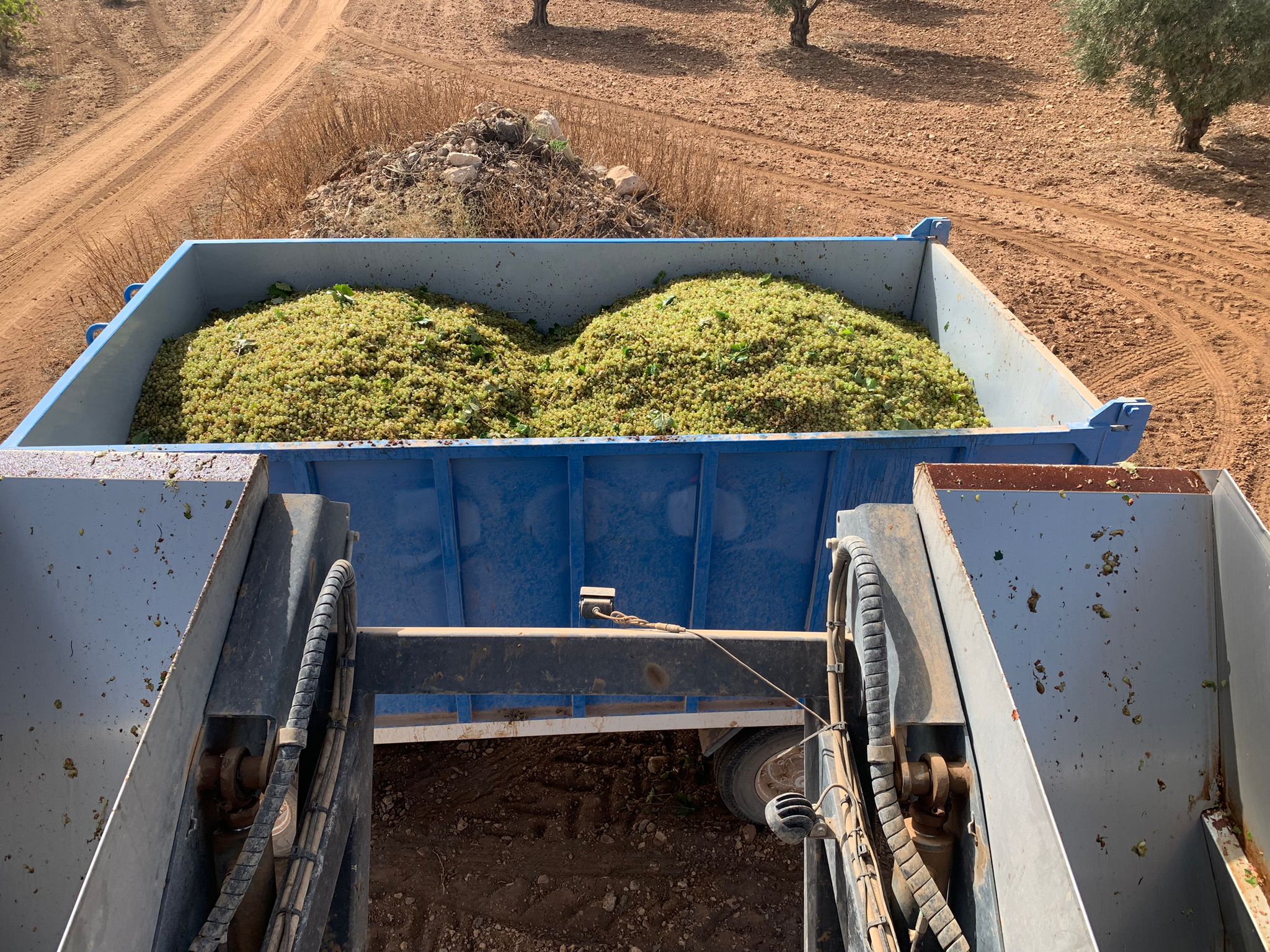 WhatsApp Image 2025 10 30 at 07.48.58 1