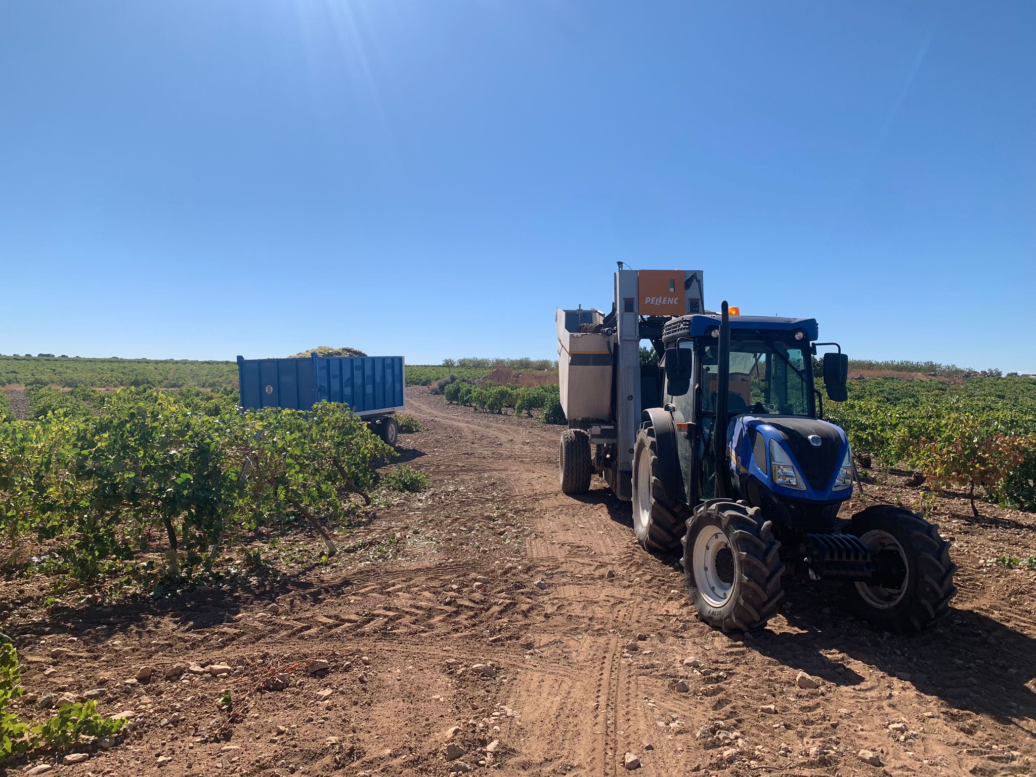 WhatsApp Image 2025 10 30 at 07.48.58 2