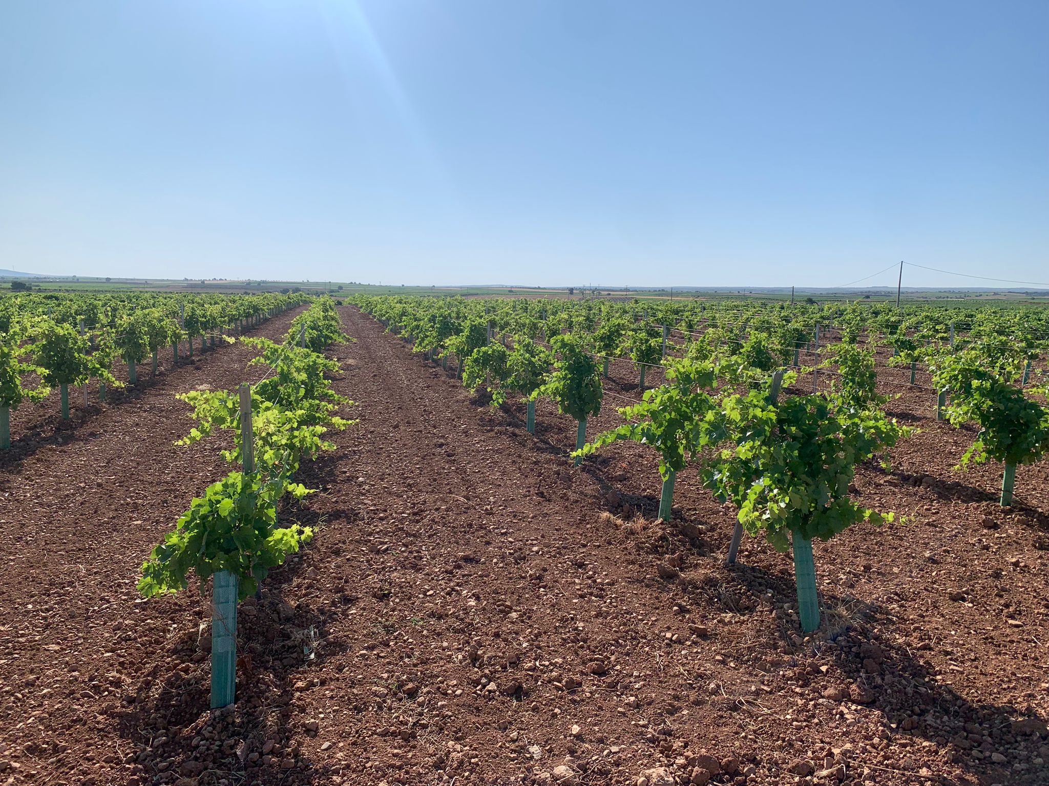 WhatsApp Image 2025 10 30 at 07.48.58 3